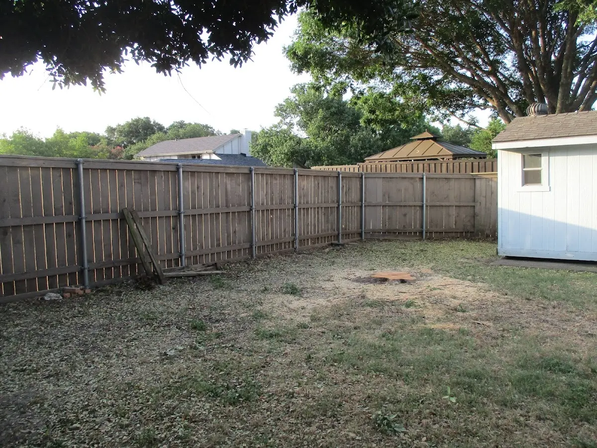 Cleared yard after professional tree removal in Mount Alto